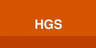 Hayes & Goldner Law Group